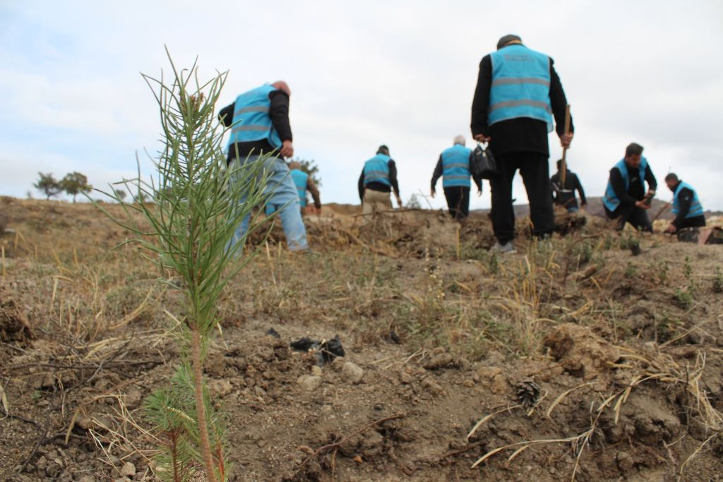 Çanakkale’ye nefes aldıran serbest etkinlik